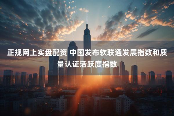 正规网上实盘配资 中国发布软联通发展指数和质量认证活跃度指数