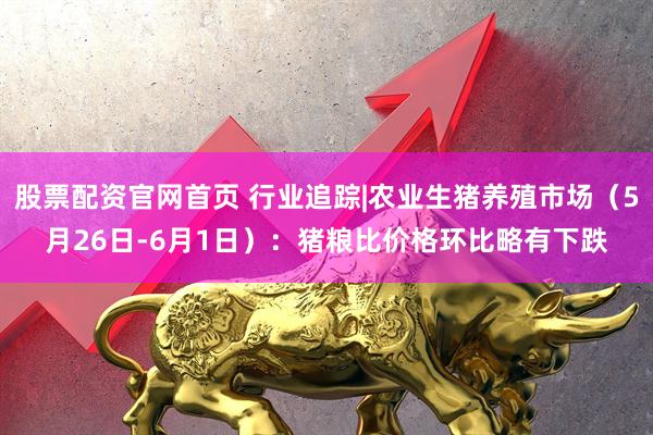 股票配资官网首页 行业追踪|农业生猪养殖市场（5月26日-6月1日）：猪粮比价格环比略有下跌