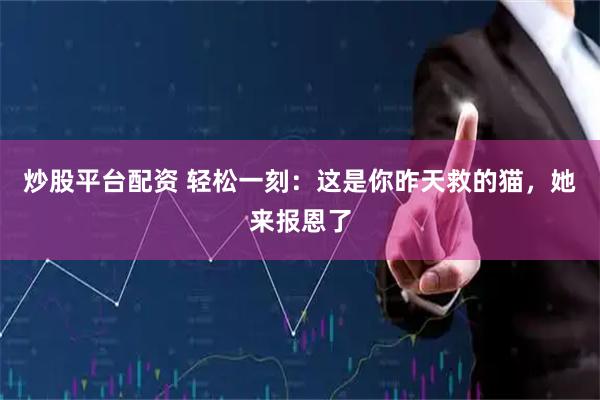 炒股平台配资 轻松一刻：这是你昨天救的猫，她来报恩了